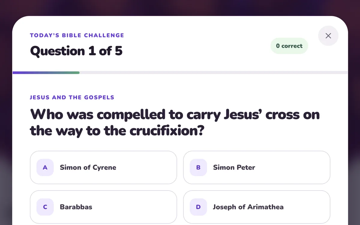Daily Bible Challenge game preview