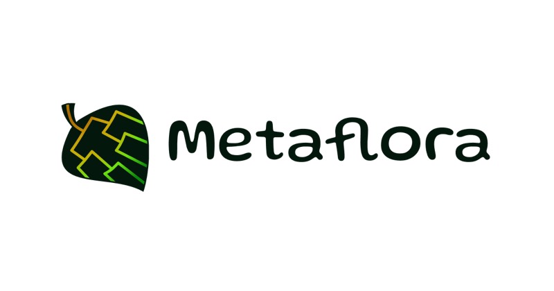 Metaflora game preview